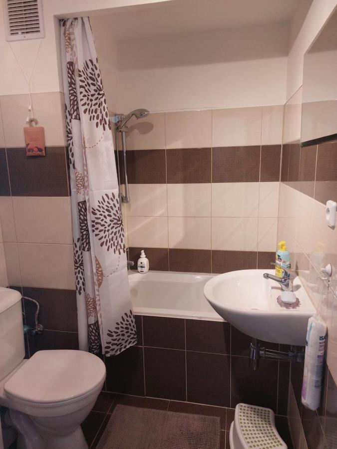 Apartman V Podhuri Krusnych Hor Sokolov Eksteriør bilde