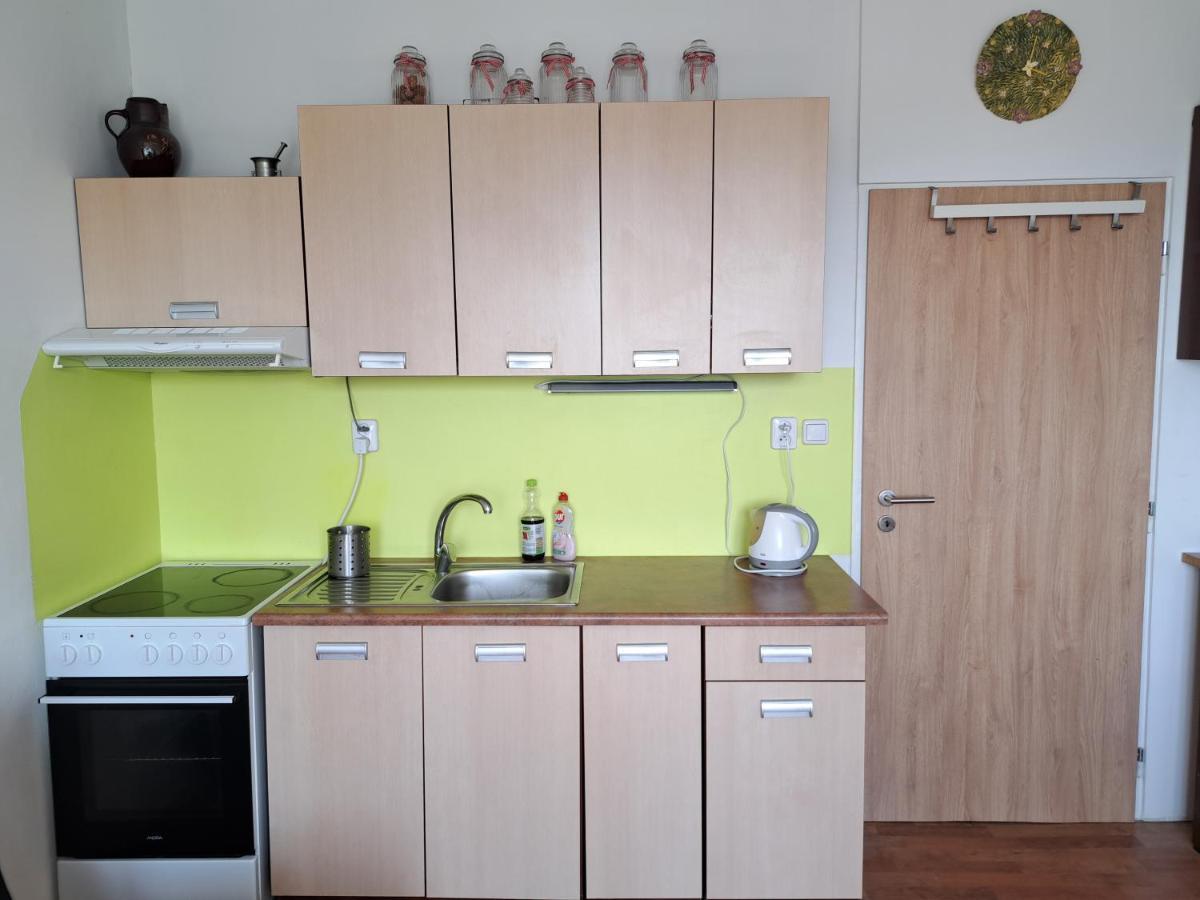 Apartman V Podhuri Krusnych Hor Sokolov Eksteriør bilde